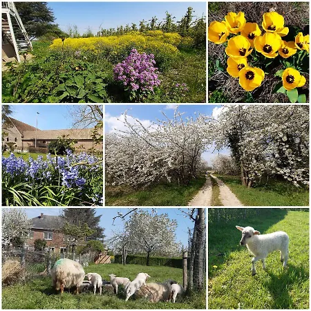 شقة De Tuin Agatha *