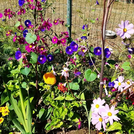 De Tuin Agatha * Kortessem