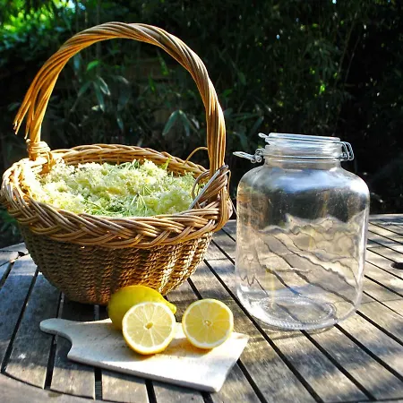 شقة De Tuin Agatha *